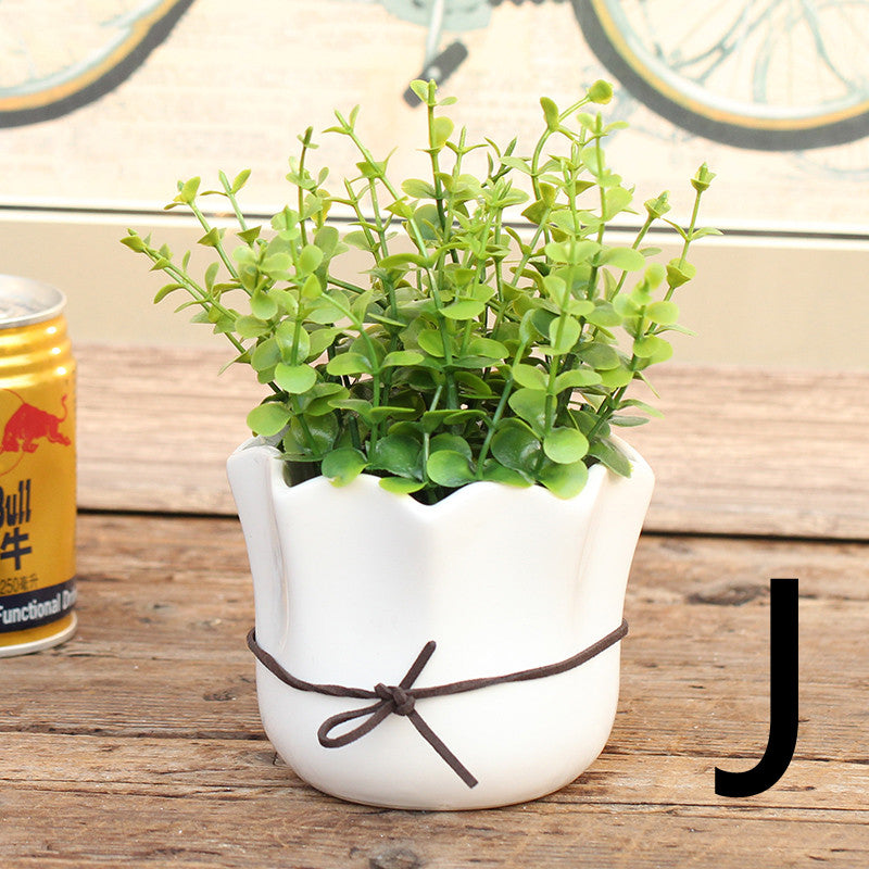 Green leafy mini plant in white pot with brown cord tie, drink can for scale – Pausadesk